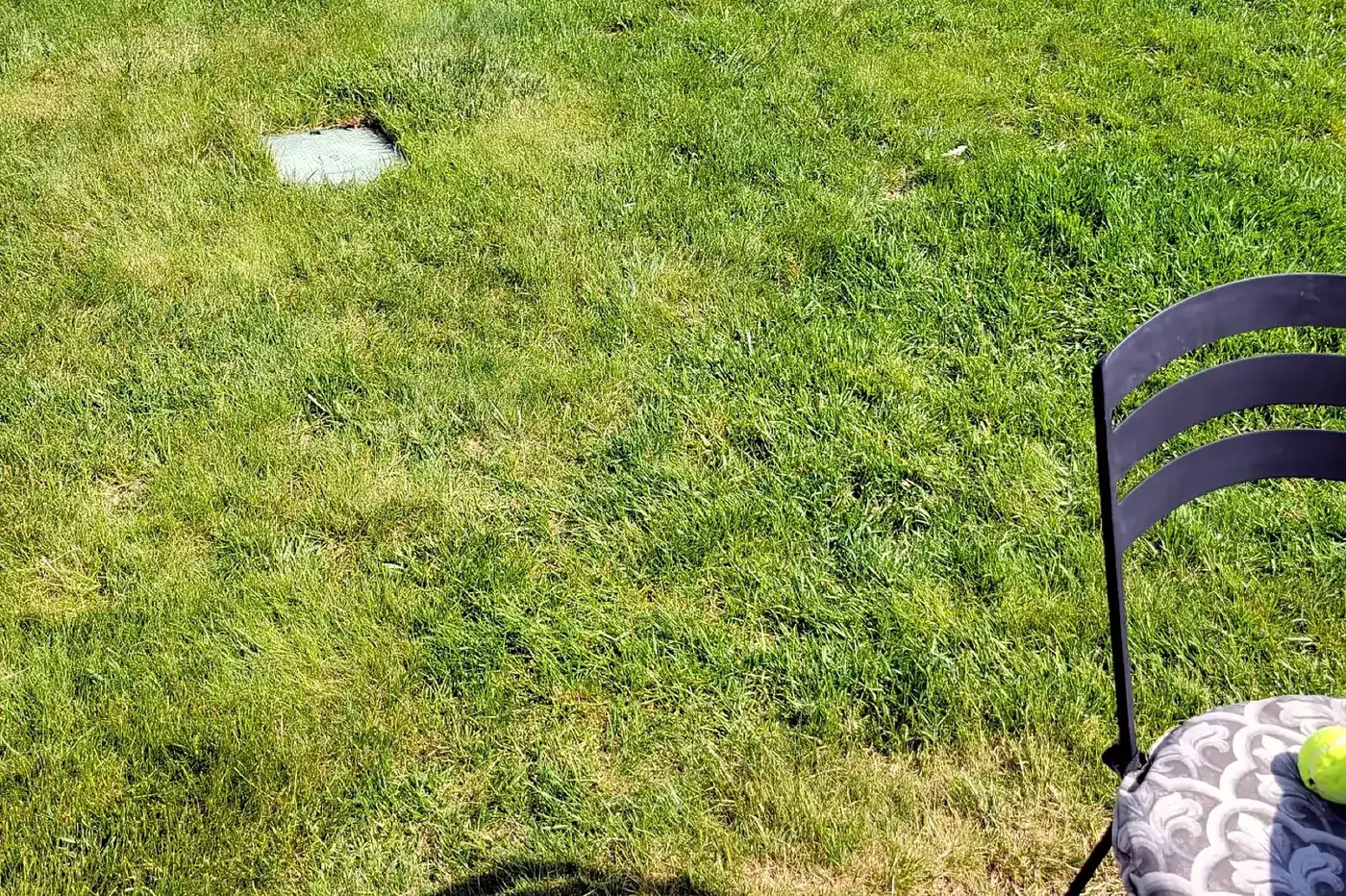 Sod & Turf Installation in Kalispell, MT
