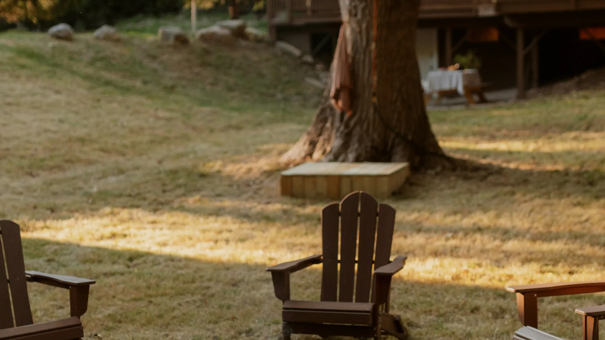 Backyard fire pit on a lawn under mature trees